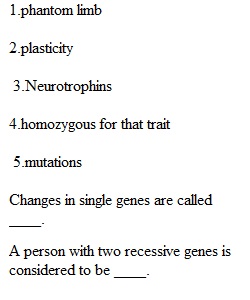 Week 2 - Quiz